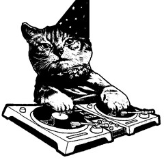 DJ Kitten Party