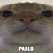 -_Pablo_-