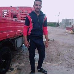 بكار شوقي ابو شوقي