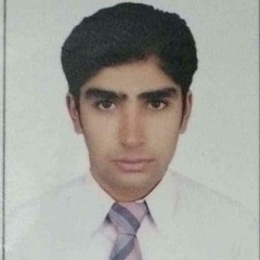 Faisal Mirza