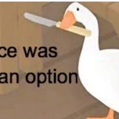 Goose