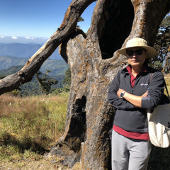 မိုးသက္ေလႏွင္ / ေမာင္ေမာင္ညြန္႔