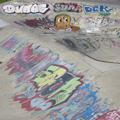 Zim dv