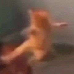 GingerKat