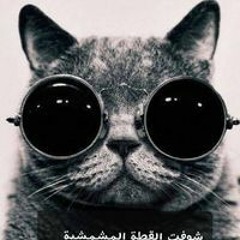 سعد عبدالله بشر