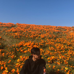 Karam Chaya