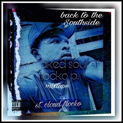 surf money ceo |st.cloud flocko|