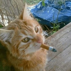 is2shiddy