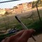 paz terrível 🕊️