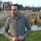 Ali S Ali