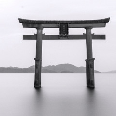 Leaving Sakamoto