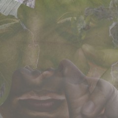 Zahra Haji Fath Ali Tehrani