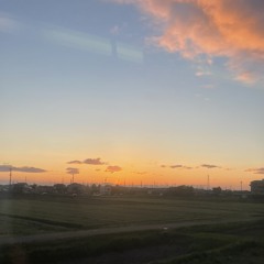 はろー