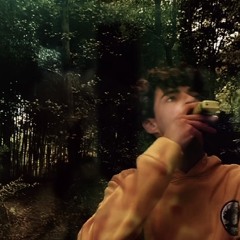 lxve crxshed