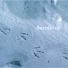 Sandbird