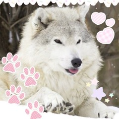ཌ Miko x DeeSu ད