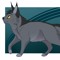 GRAYSTRIPE🐈🖤