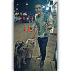 محمود الخواجه