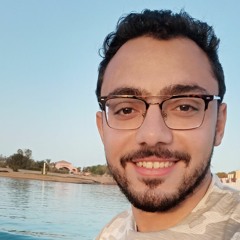 Ahmed Elswify