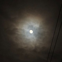 .lnse