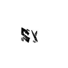 Synvinity