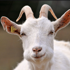 jacob
