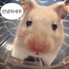 아아하