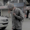 Vũ Nguyễn
