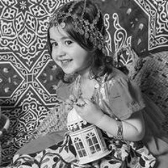 Shorouk Alafifi