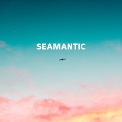 Seamantic