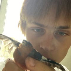 Lila Angelina Howell