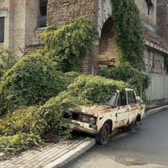 Анна Пинчук