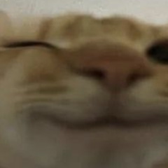 itzmadeline