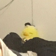azr
