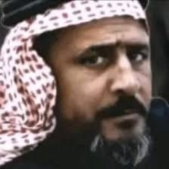 الشاعر محمد بن دانوك