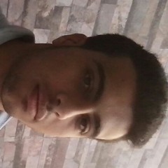 User 568406803