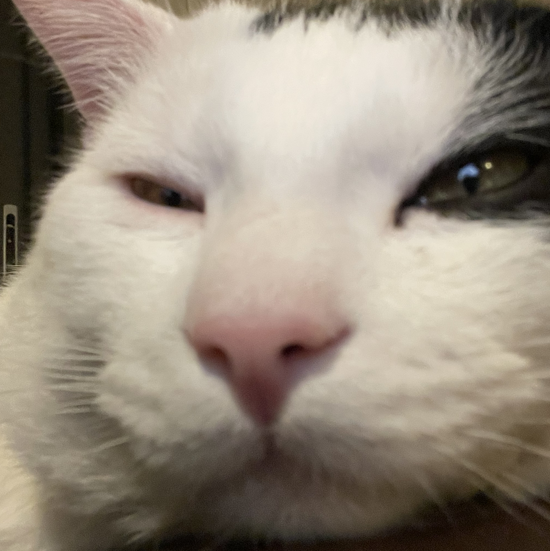 old