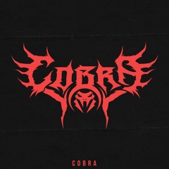 DJ Cobra