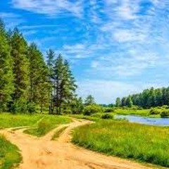 тупая телка 2008