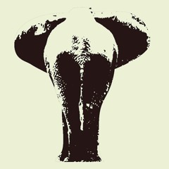 Elephant Gait Music