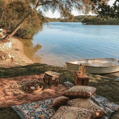 البروفوسير مبادر