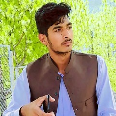 zafi