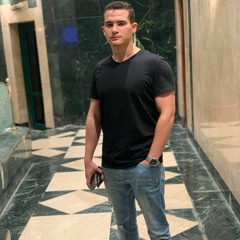 Amr Hesham Hashem
