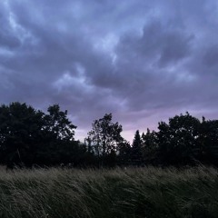 maabrcydseifa
