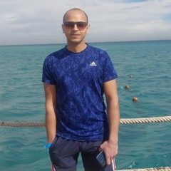 Ahmed Abo ellif