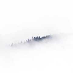 Shivaum