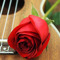 The Joy of the Lord!!🌹🎻🎶🌹 English & Spanish Hymns!