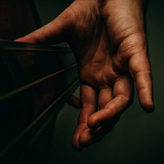 Dmitro Lossless