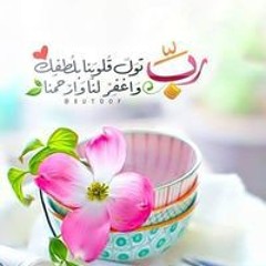 Manal Abo Saree