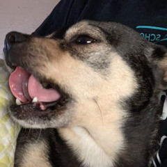 G E O